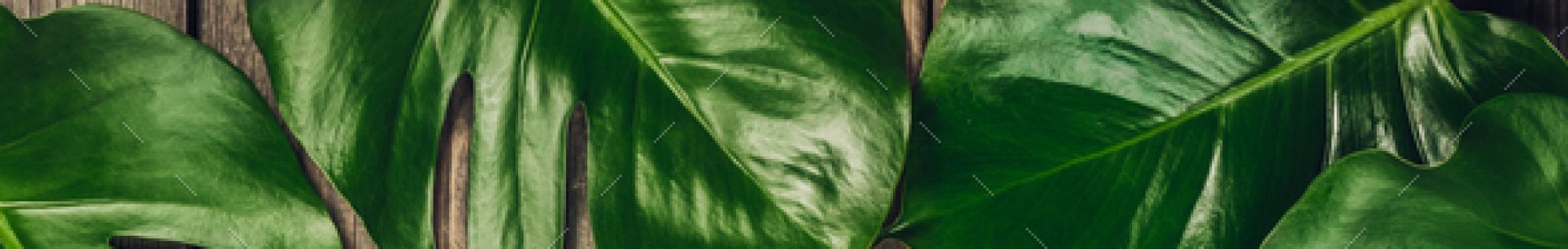 Fearfully and Wonderfully Brave